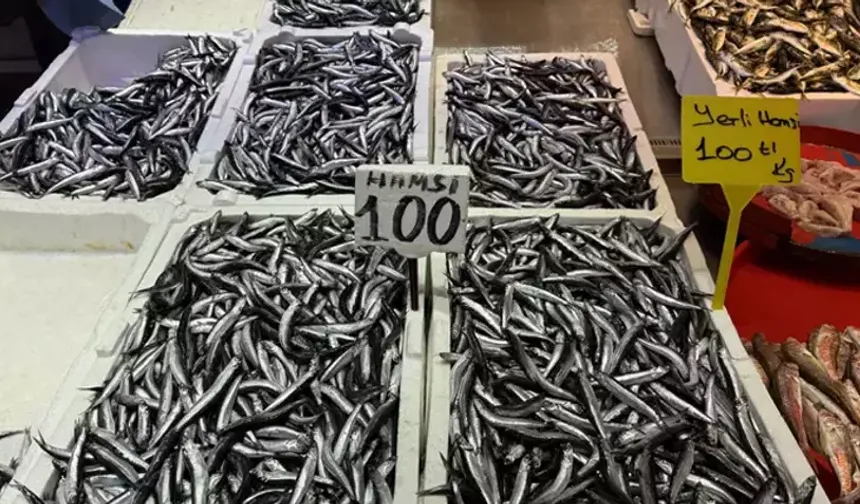 Trabzon’da Hamsi Sezonu Bereketli Geçiyor