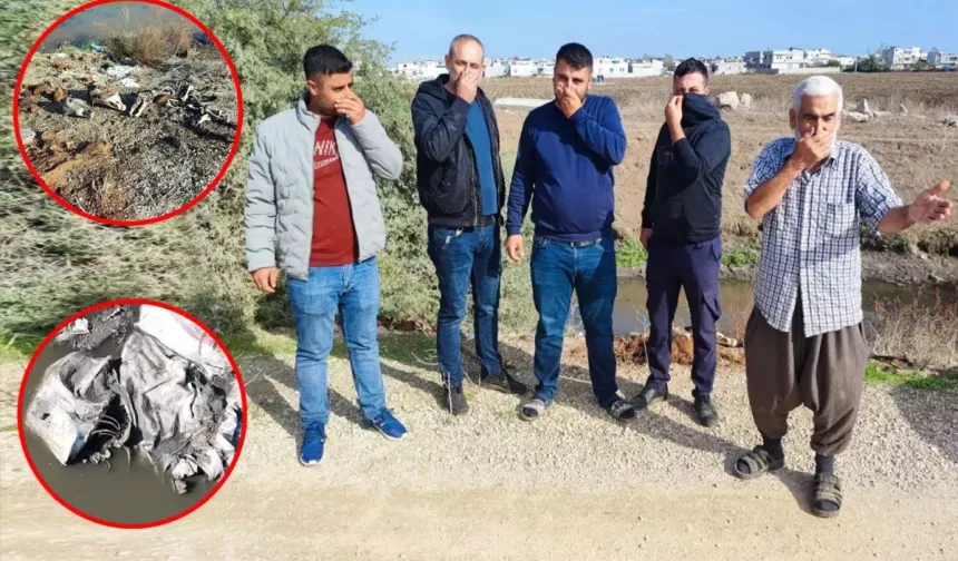 Adana’da Dereye Atılan Hayvan Kalıntıları Tepki Çekti