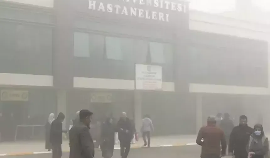 Mutasyona Uğrayan İnfluenza Diyarbakır’da Alarm Verdi