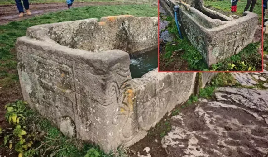 Bolu’da Doğaseverler Kesilmiş Tarihi Lahit Buldu