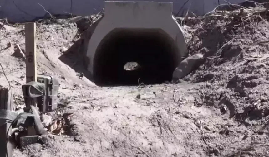 Kurbağalar İçin Yapılan Aşk Tünelinde Çalışmalar Bitti