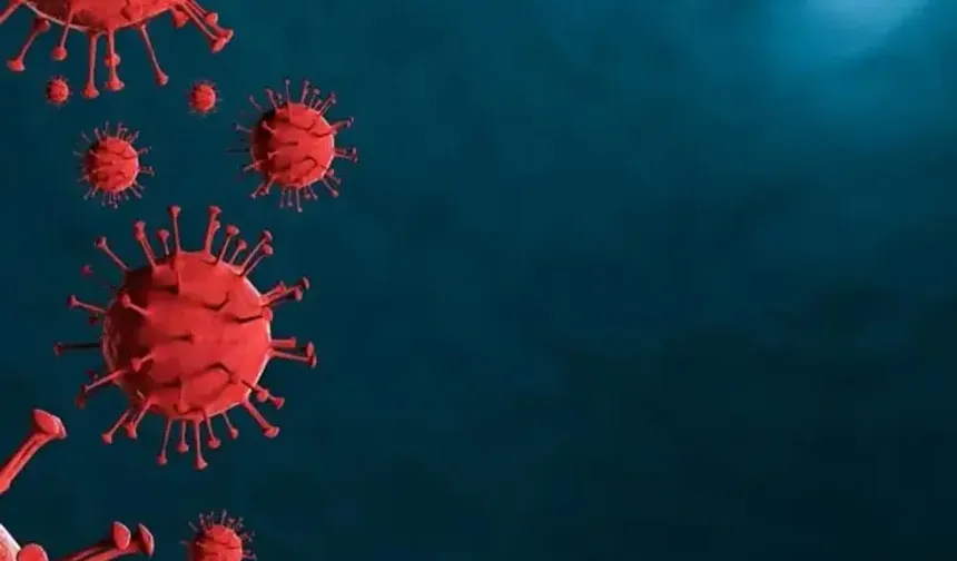 Çocuklar Arasında Hızla Yayılıyor