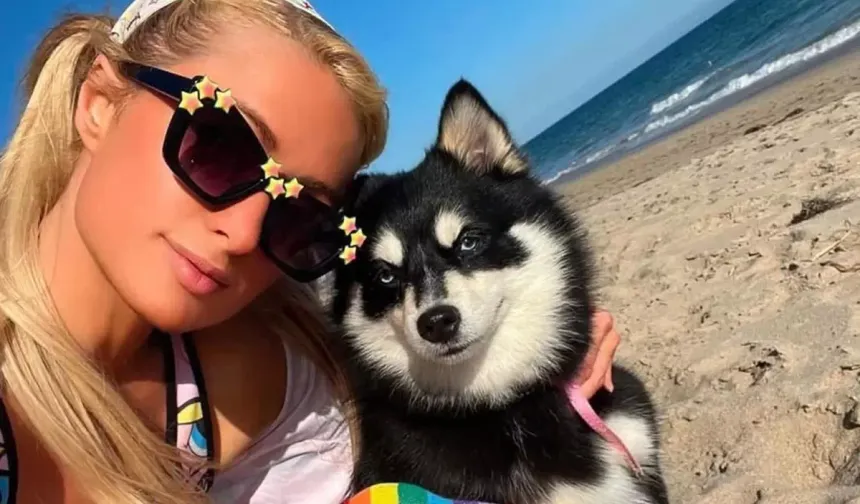 Ünlüler Arasında Evcil Hayvan Klonlama Trendi Büyüyor