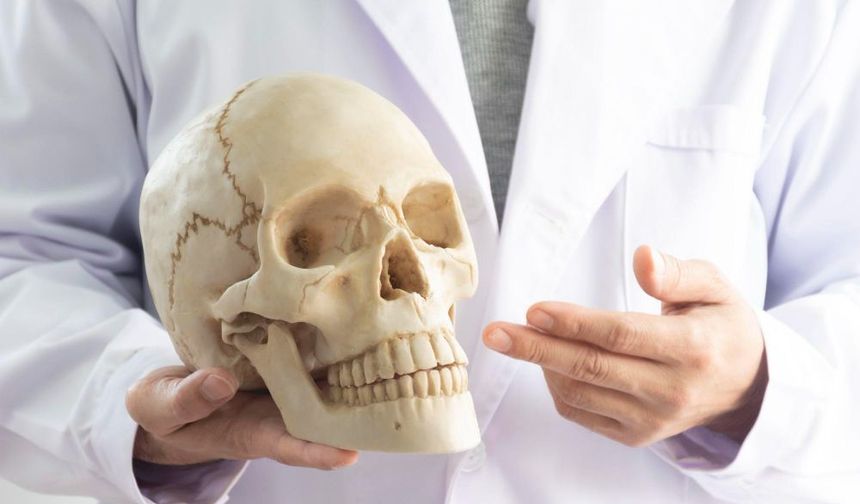 Beyin Ve Sinir Cerrahi Uzmanı Umut Tan Sevgi ile Tanışın