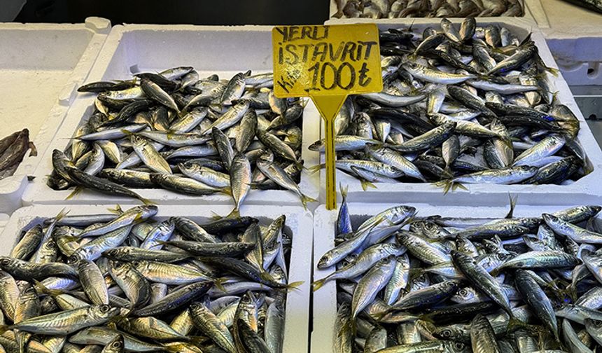 Trabzon’da İstavrit Tezgahların Yeni Gözdesi Oldu