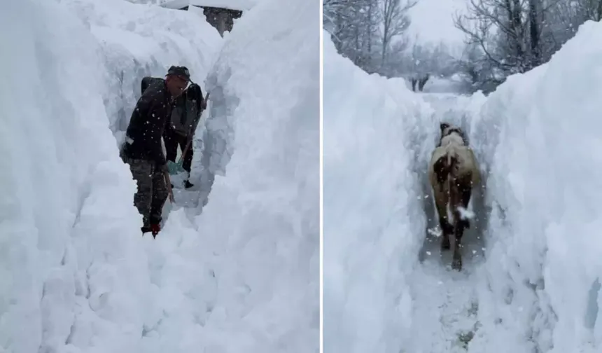 Tunceli’de Kar Kalınlığı İnsan Boyunu Aştı