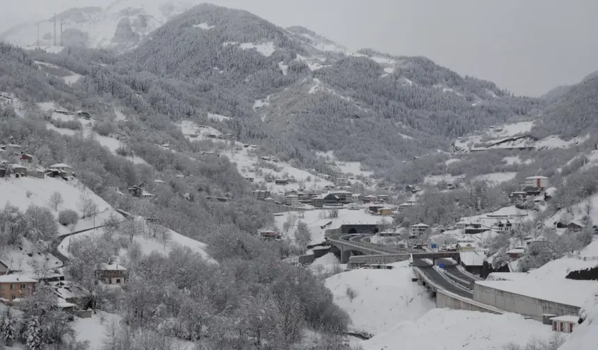 Zigana Dağı Kar Yağışıyla Beyaza Büründü Manzara Büyüledi