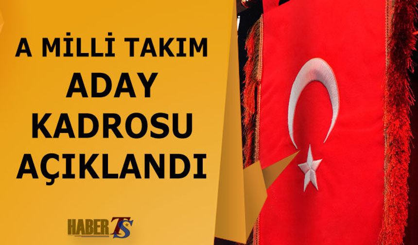 A Milli Takımın Play-Off Kadrosu Açıklandı