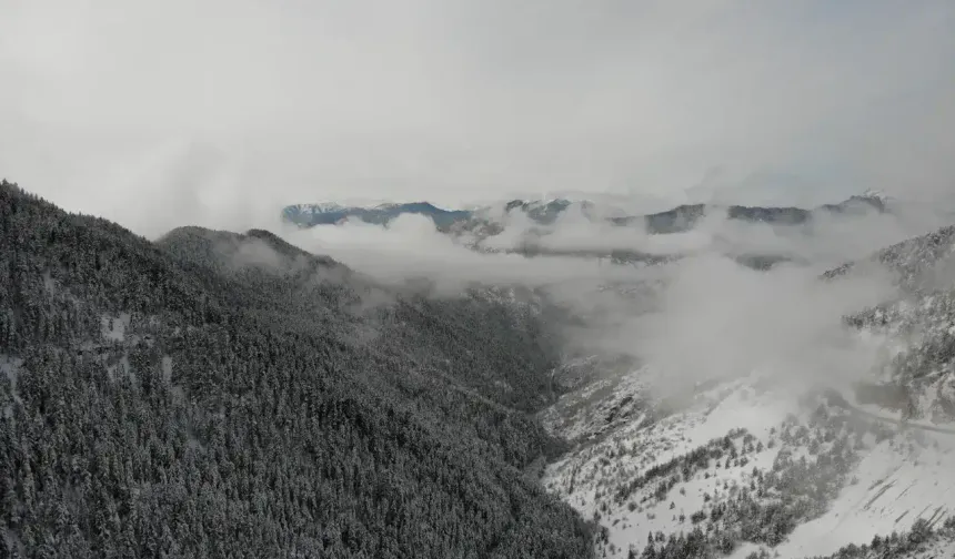 Zigana Dağı Eteklerinde Bahar Açtı Zirveler Beyaz