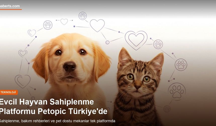 Türkiye’de Evcil Hayvan Ekosistemi Büyüyor: Petopic Platformu Ne Sunuyor?
