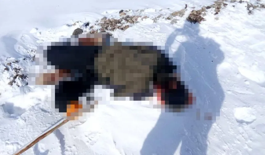 Van’da Sınır Bölgesinde Bir Kişi Ölü Bulundu