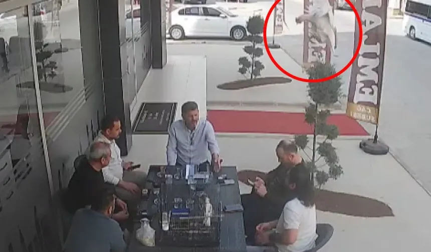 Tarsus’ta 5 Katlı Binadan Uçtu