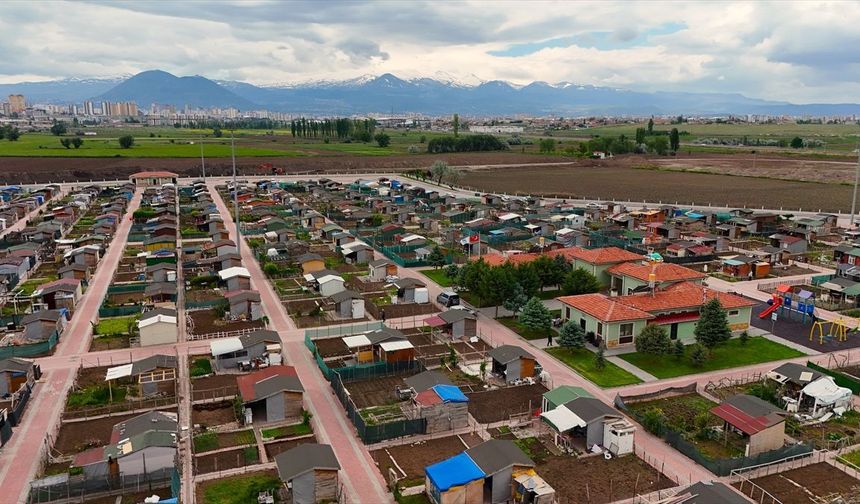 Kayseri’de Emeklilere Ücretsiz Atalık Fide Desteği
