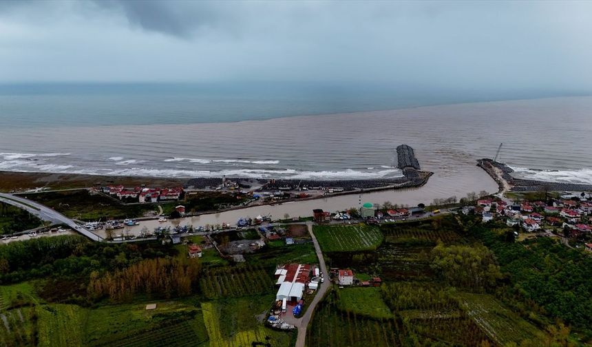 Sakarya’da Deniz Rengi Kahverengiye Döndü