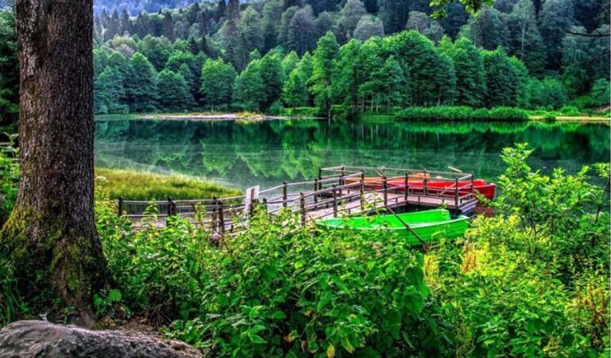 Karadeniz’den Batum’a Uzanan Keyifli Rotalar: Rize Günübirlik Turlar Rehberi