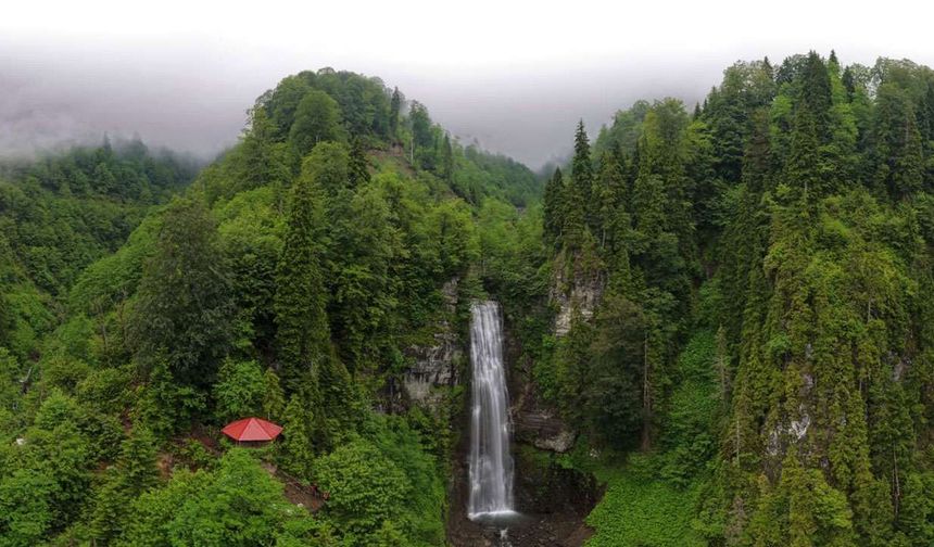 Macahel'deki Maral Şelalesi Ziyaretçi Akınına Uğruyor