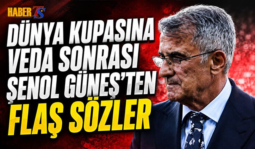 Şenol Güneş'ten Milli Takım İçin Sert Yorum