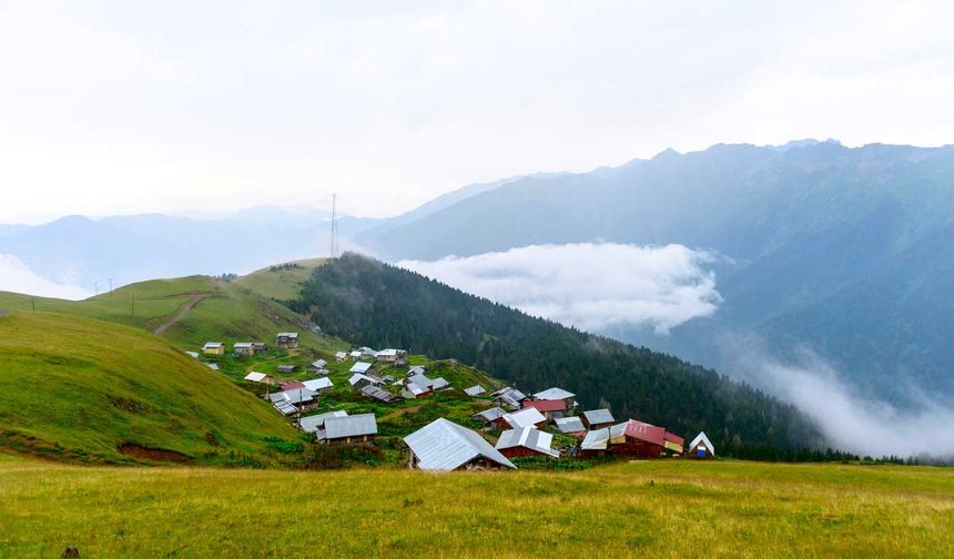 Uzmanlardan Yaylaya Çıkacaklara Sağlık Uyarısı