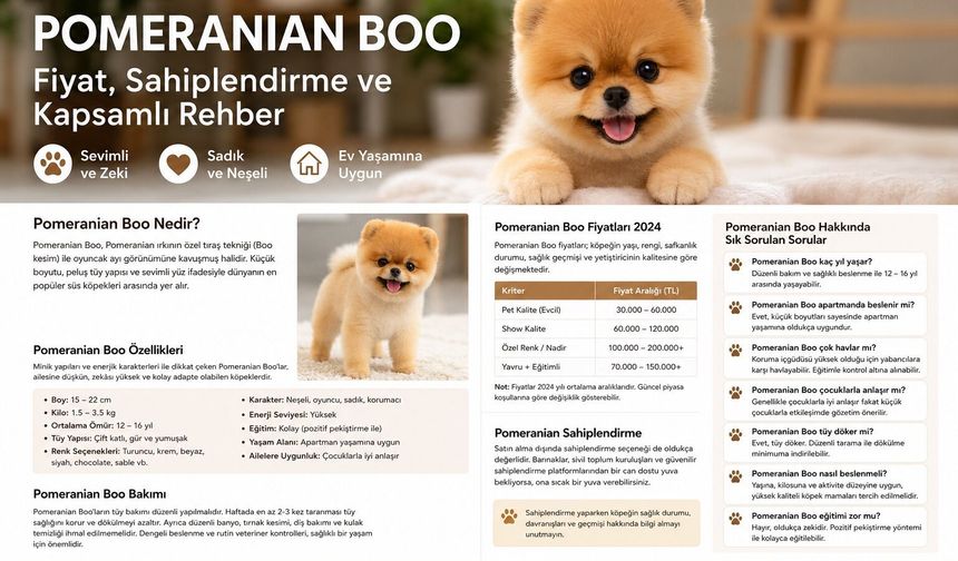 Pomeranian Boo Rehberi: Özellikleri, Pomeranian Boo Fiyat ve PomeranianSahiplendirme
