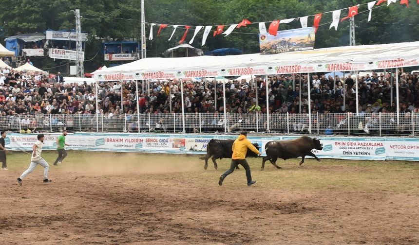 Artvin'de Kafkasör Festivali 105 Bin Ziyaretçiyle Tamamlandı