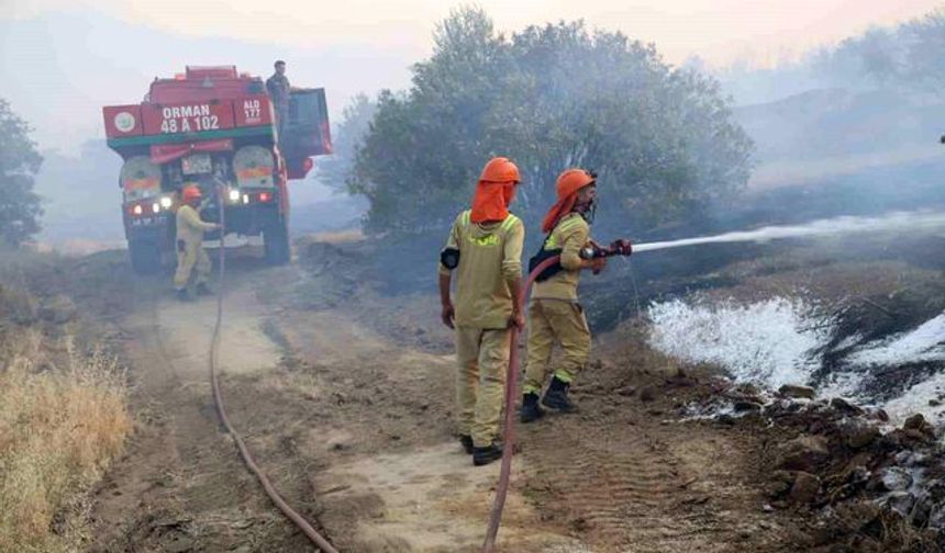 Aydın’da Yangına Havadan Ve Karadan Müdahale