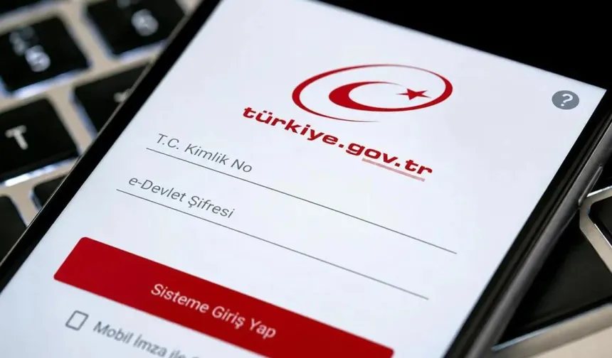 e-Devlet’ten Adınıza Şirket Kaydı Sorgulama