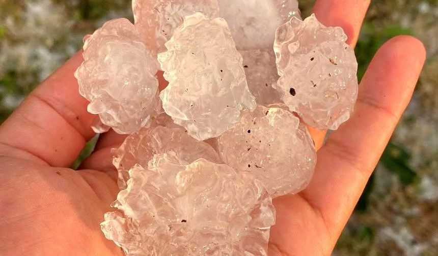 Tekirdağ'da Dolu Tarlaları Vurdu