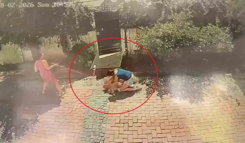 Samsun’da Pitbull Küçük Kıza ve Köpeğine Saldırdı