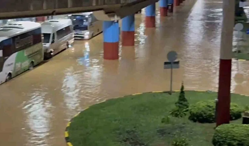 Karadeniz'de Alarm: 231 İhbar Alındı