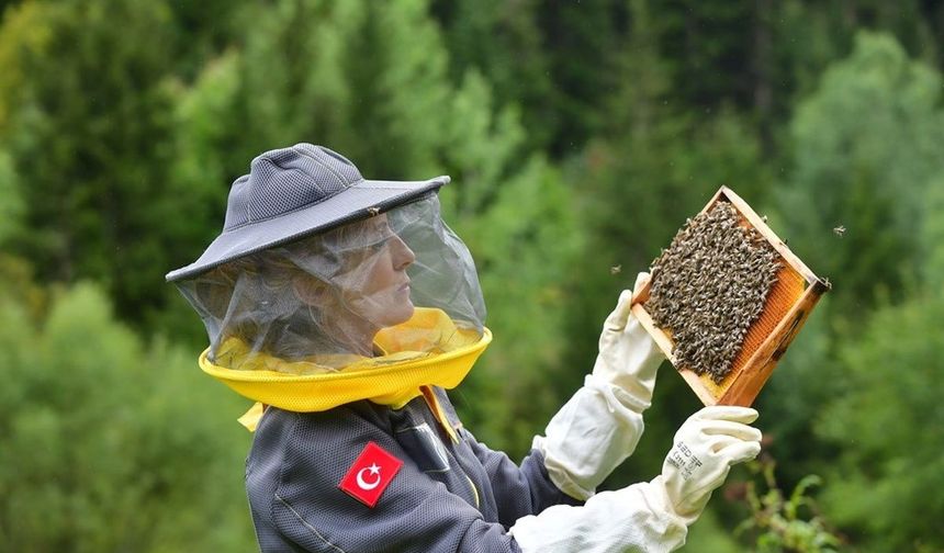 Artvin’de Arıcılık Turizmle Buluşuyor