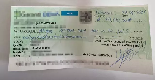 Karsiliksiz Cek Soku Yagmur Atacan Mahkemelik 18660877 4006 M