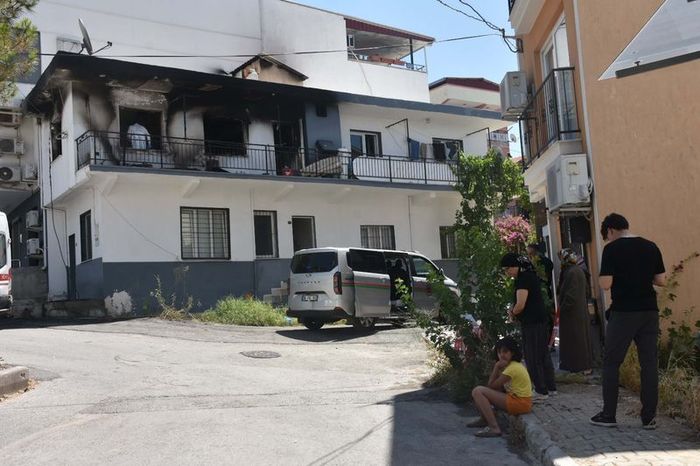 3801881 Dc6B9Caf077F35218Fe591A248Ba3Fd6