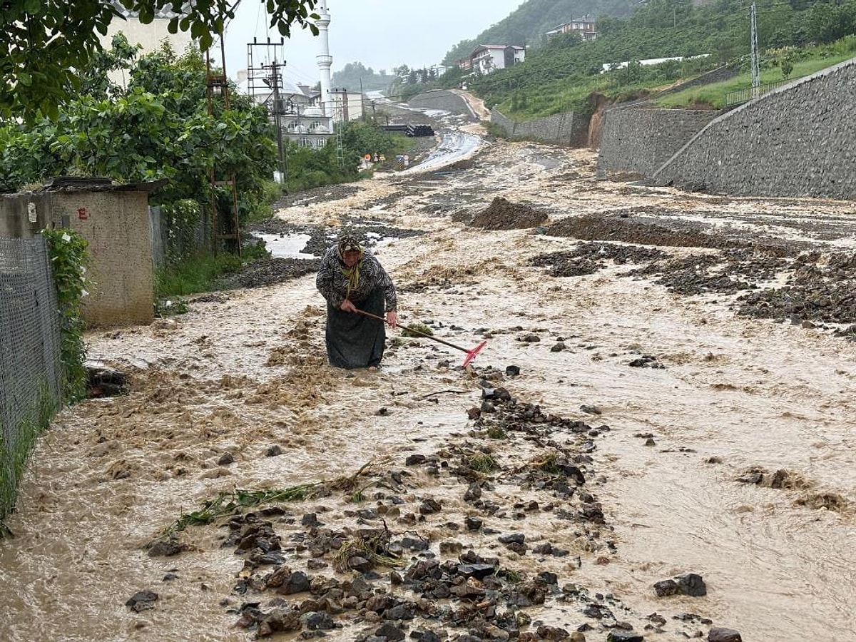 S 3D2Aae48C3A76D528Ff429De41C03994595010A2