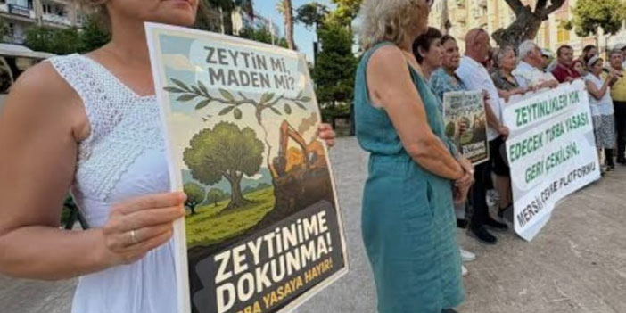 Zeytin
