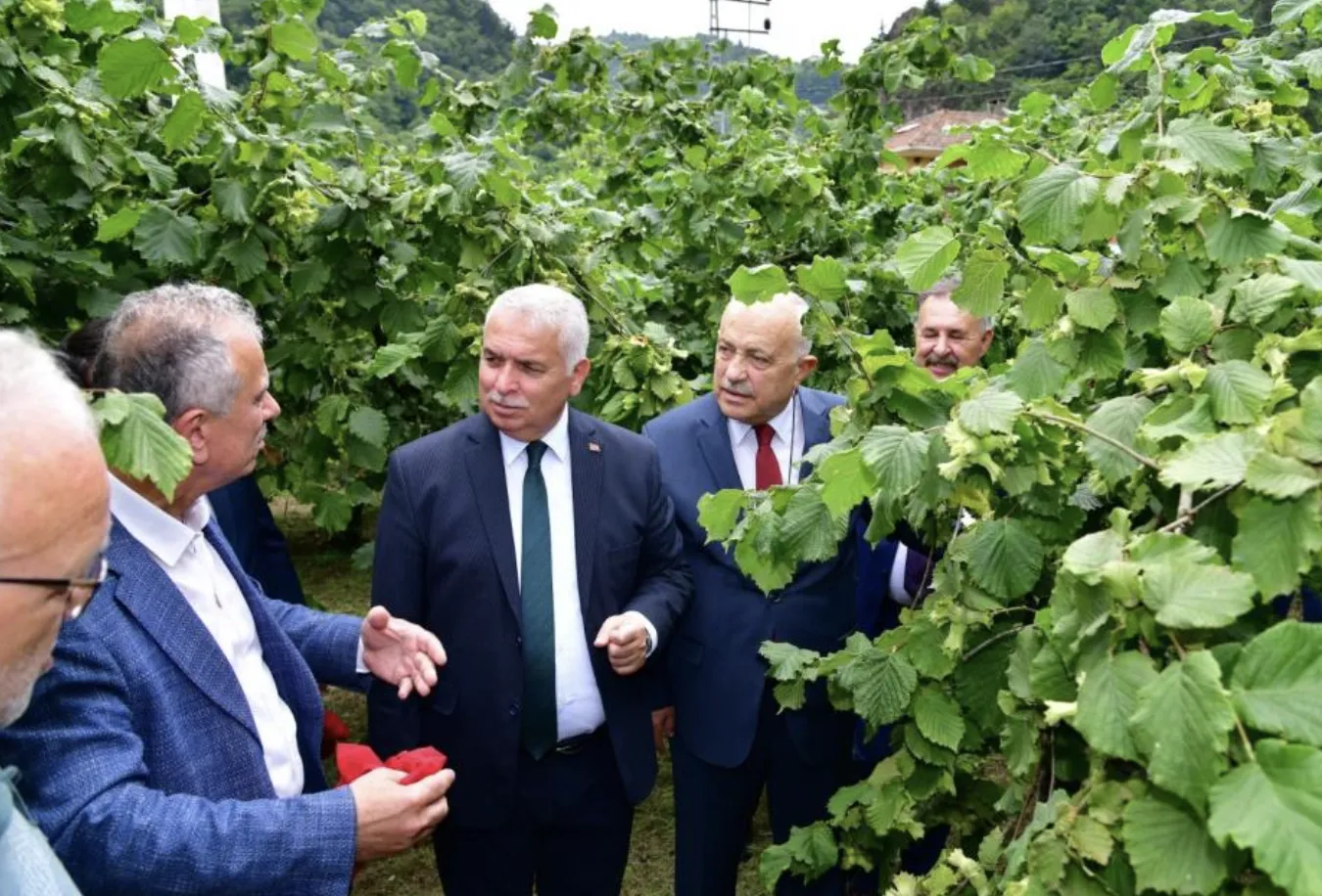 Ekran Resmi 2025 07 04 095548.Png