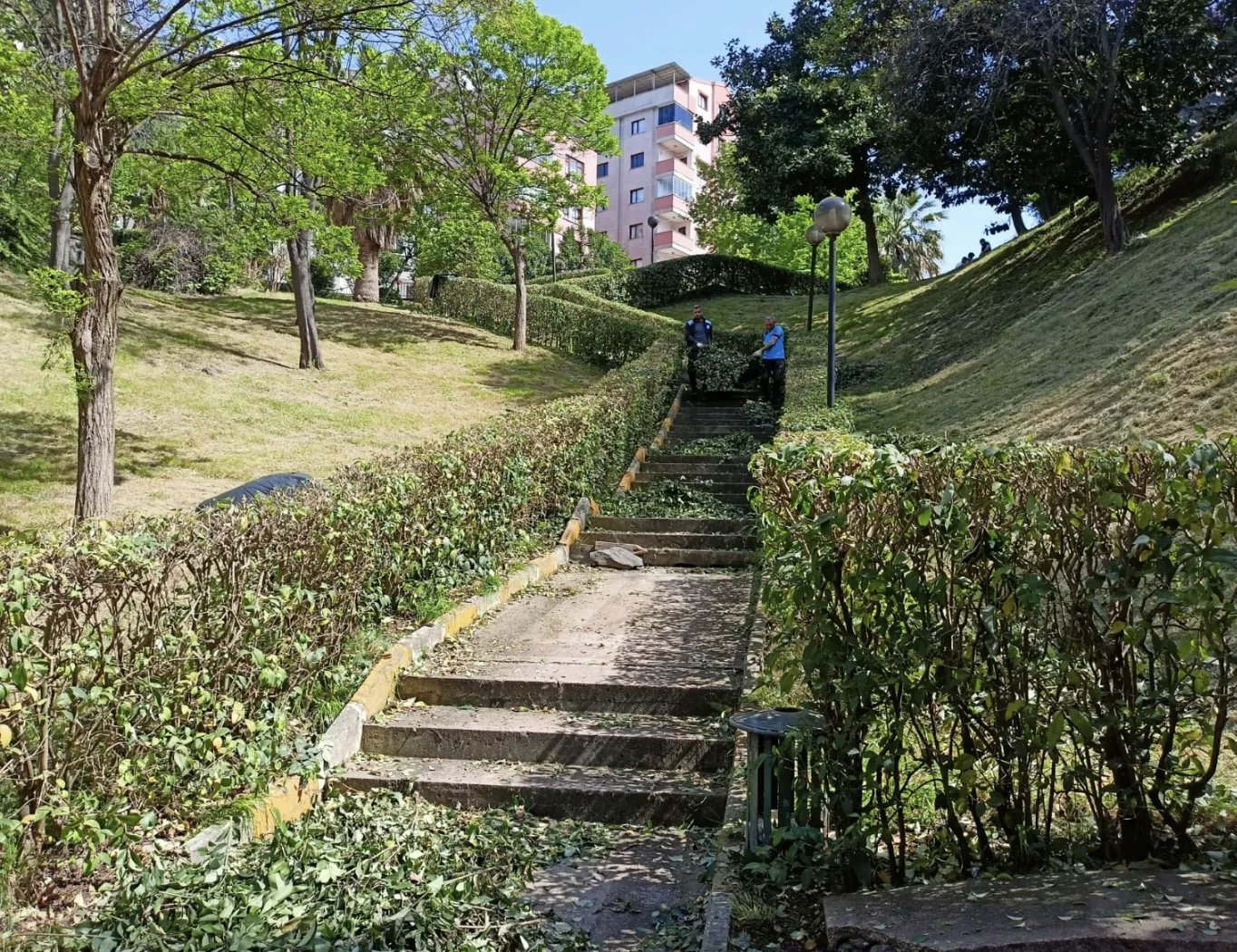 Ekran Resmi 2025 07 06 122451.Png