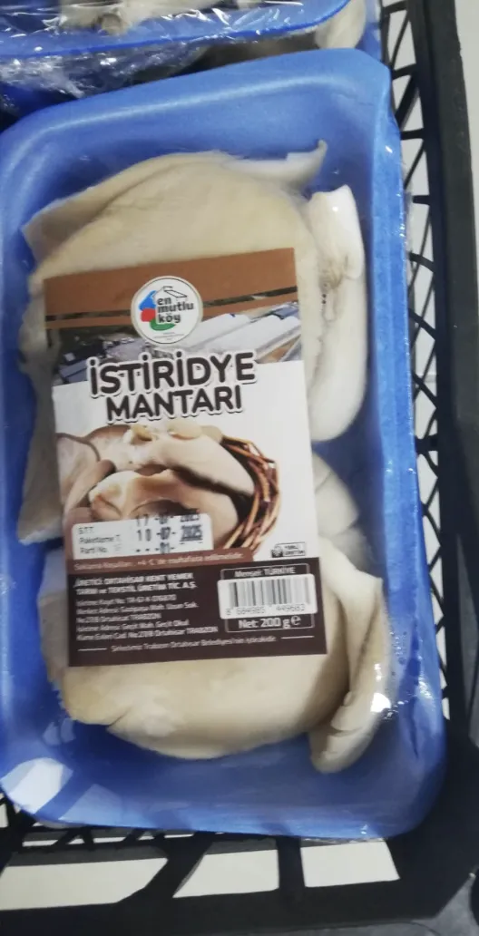 Ekran Resmi 2025 07 13 112016.Png