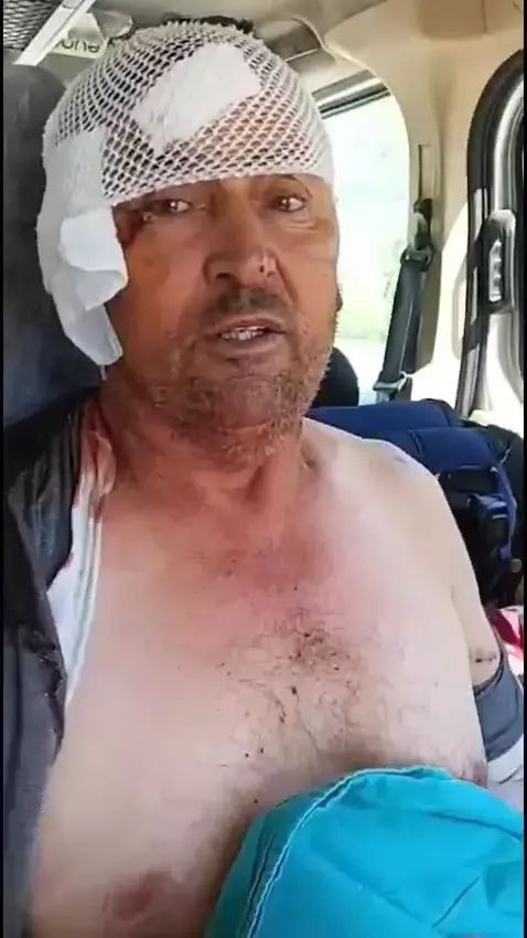 Manavgat Ta Hayvan Parkindan Kacan Aslan Olduruldu 18822763 6449 M.jpg