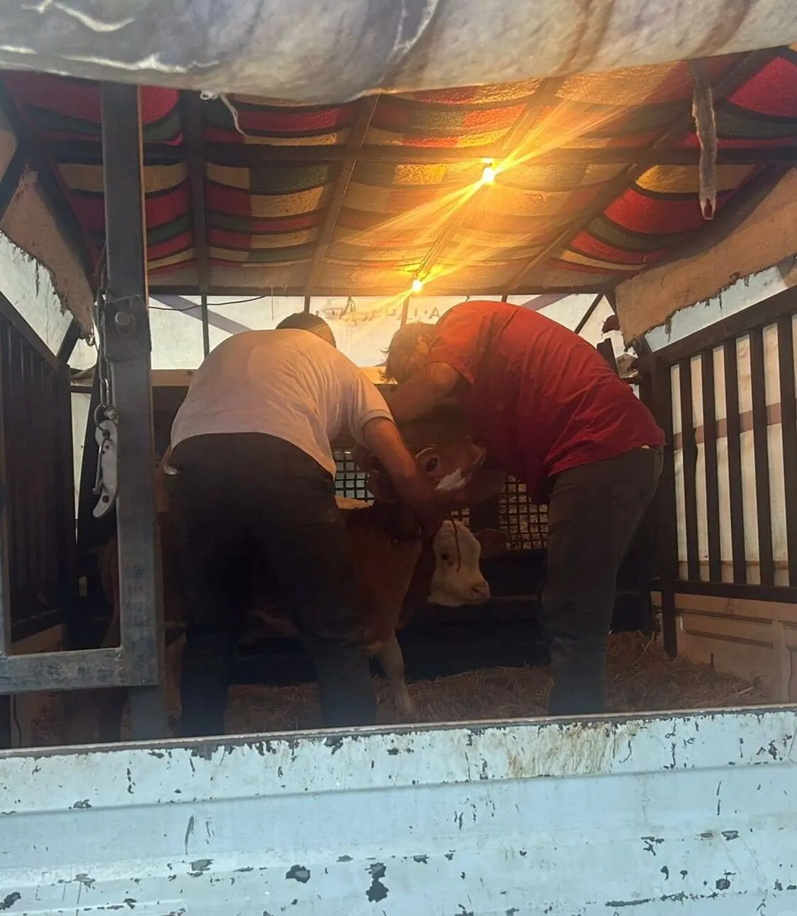 529836156 776720058080665 7899520780542170789 N.jpg