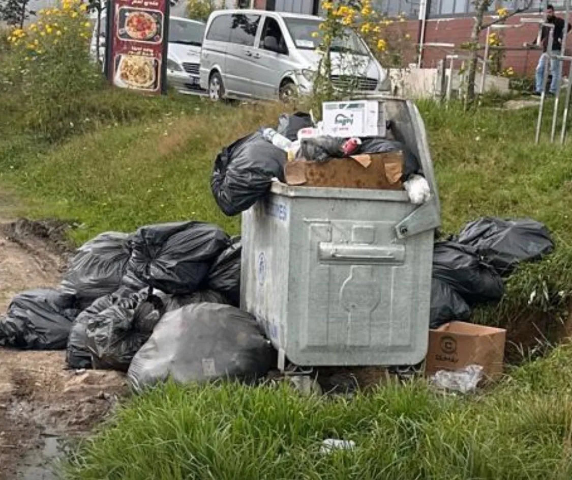 536278689 122229565208146399 2033185510699190231 N.jpg