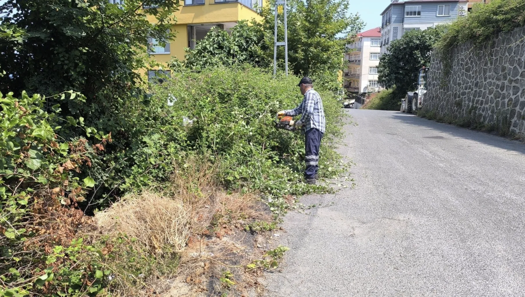 Ekran Resmi 2025 08 07 115248 1.Png