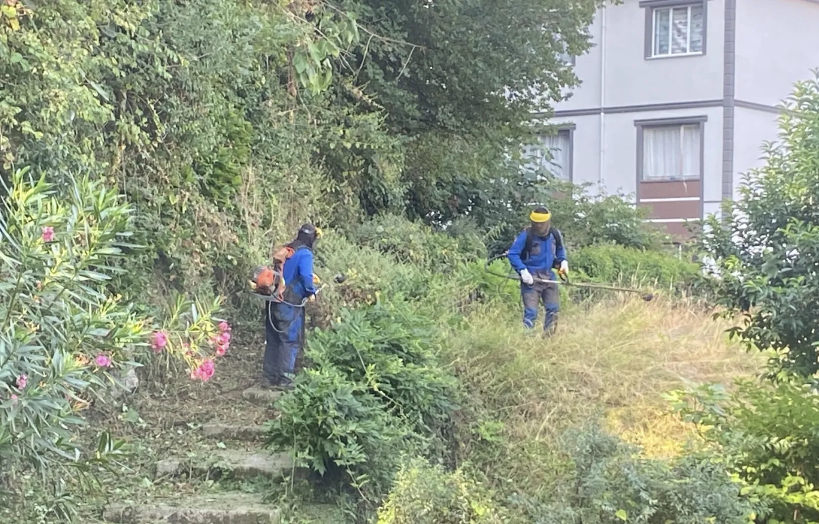 Ekran Resmi 2025 08 07 115310.Png