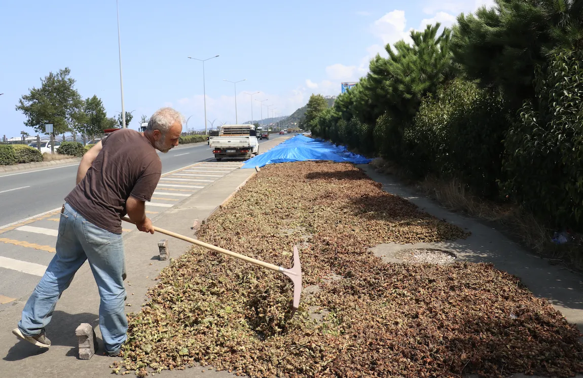 Ekran Resmi 2025 08 24 131609.Png