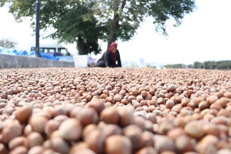 Ekran Resmi 2025 08 24 131616.Png