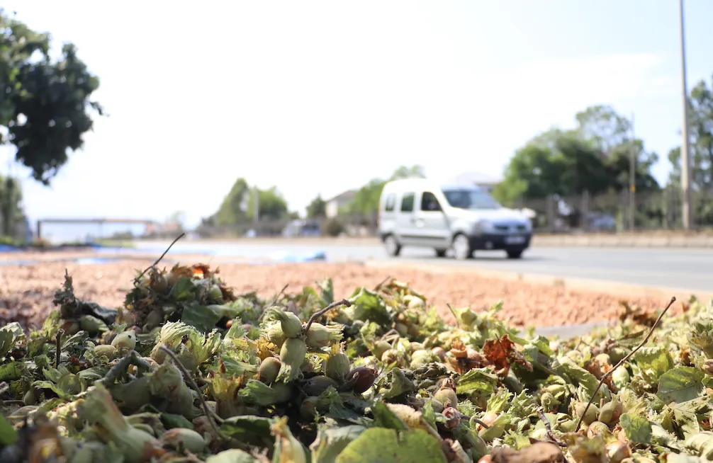 Ekran Resmi 2025 08 24 131630.Png