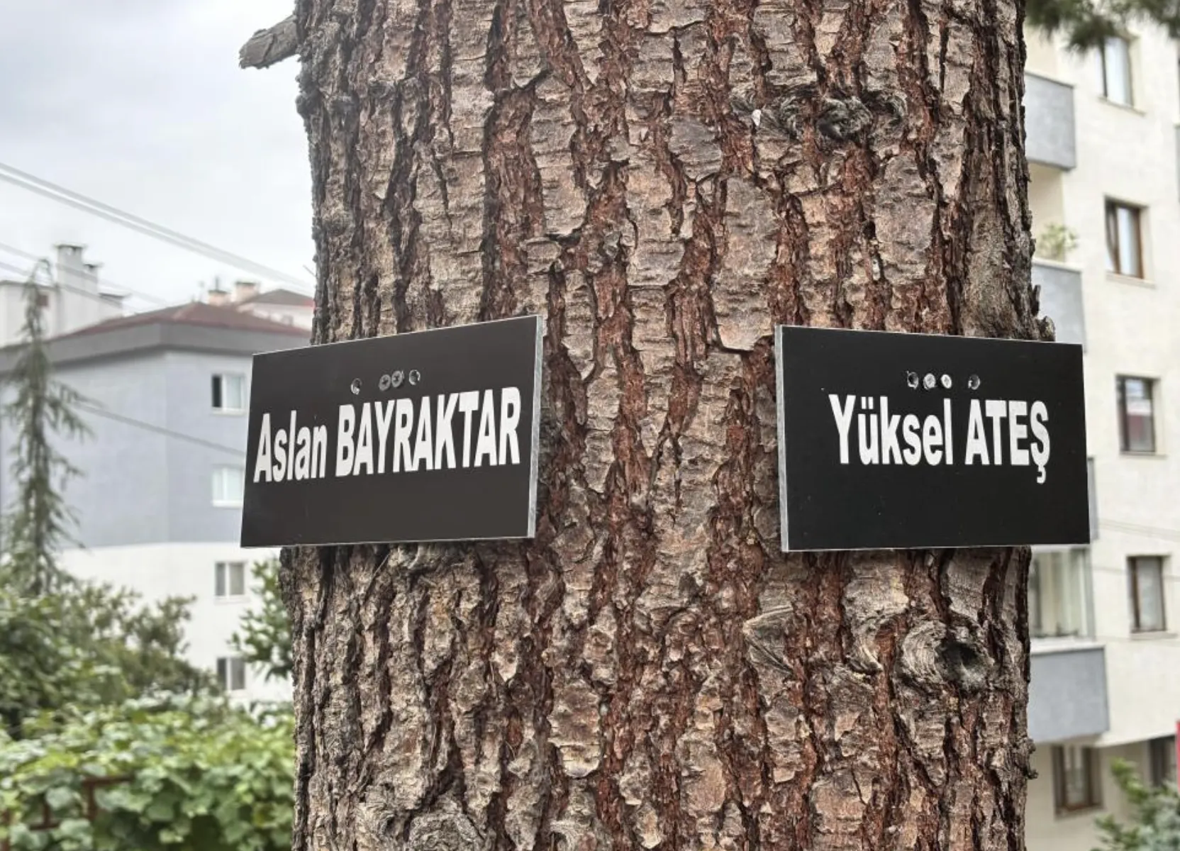 Ekran Resmi 2025 08 26 095359.Png
