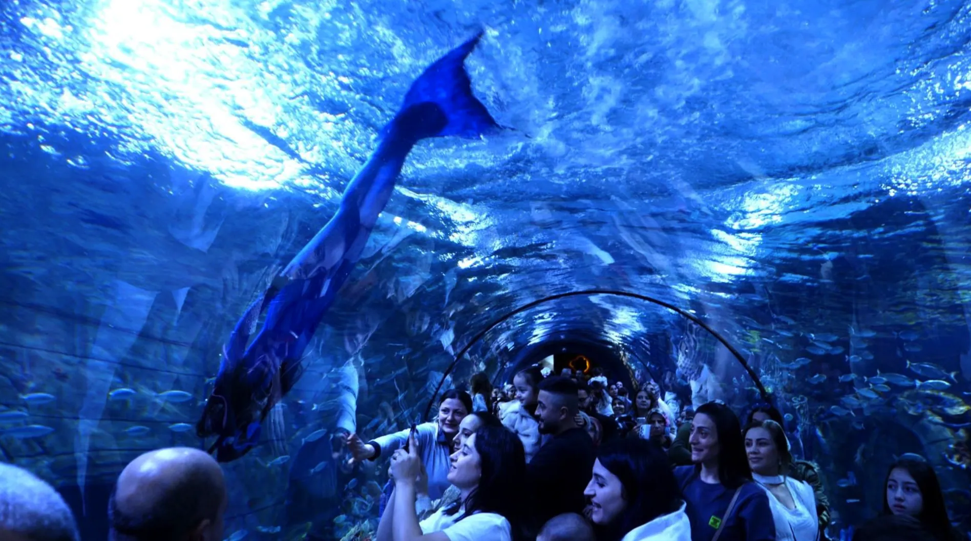 Ekran Resmi 2025 08 26 123015.Png