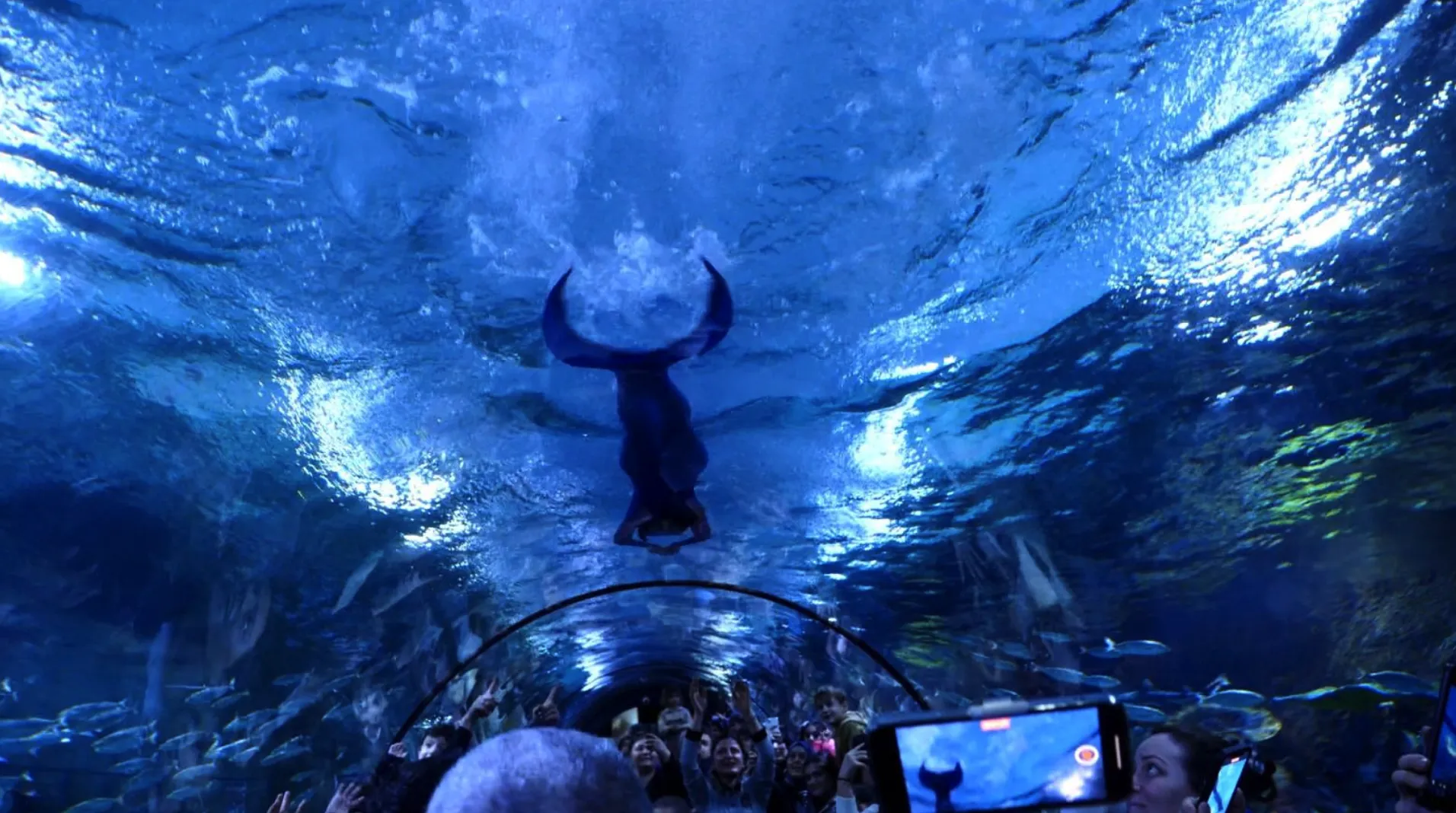 Ekran Resmi 2025 08 26 123022.Png