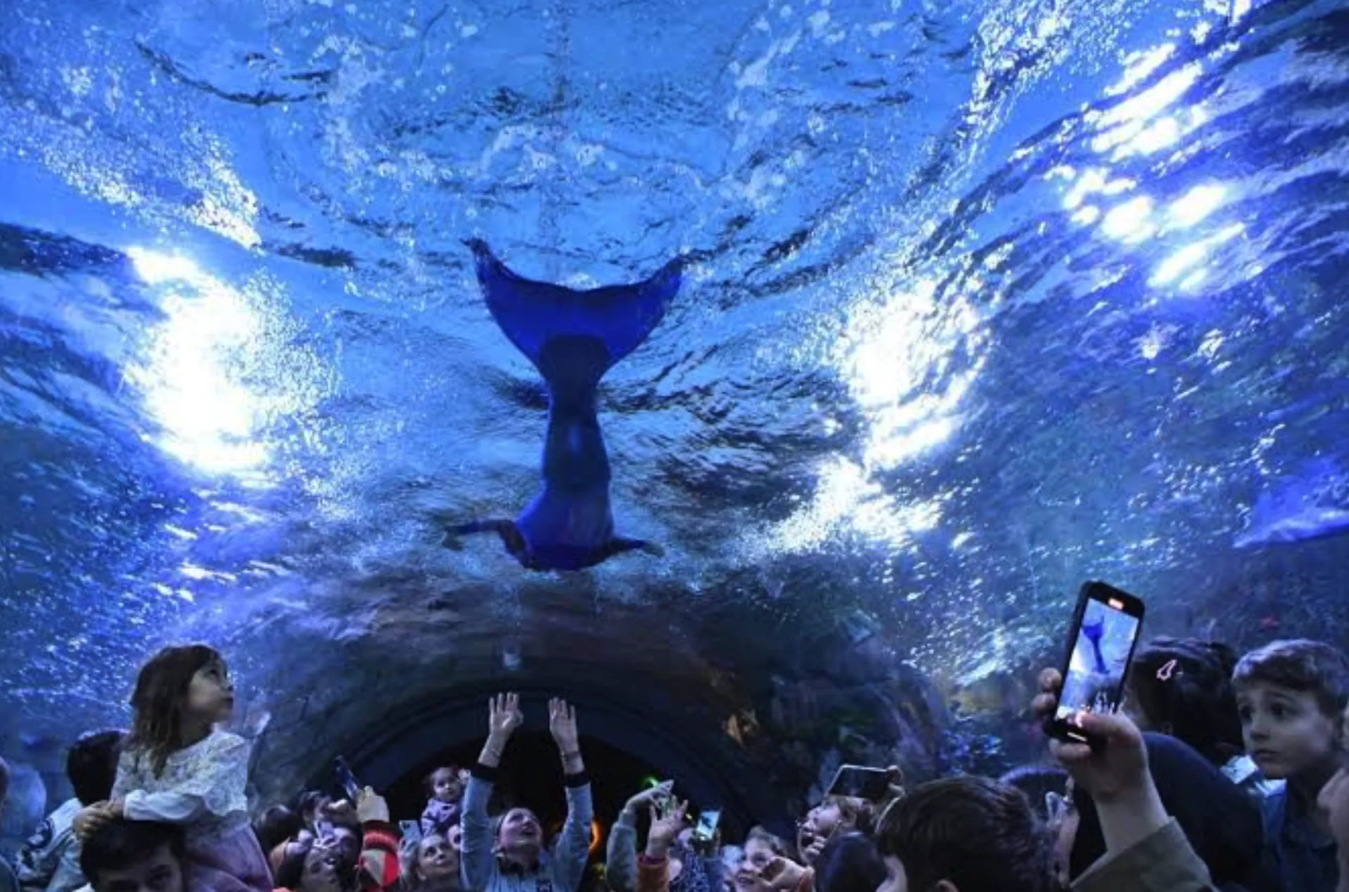 Ekran Resmi 2025 08 26 123027.Png