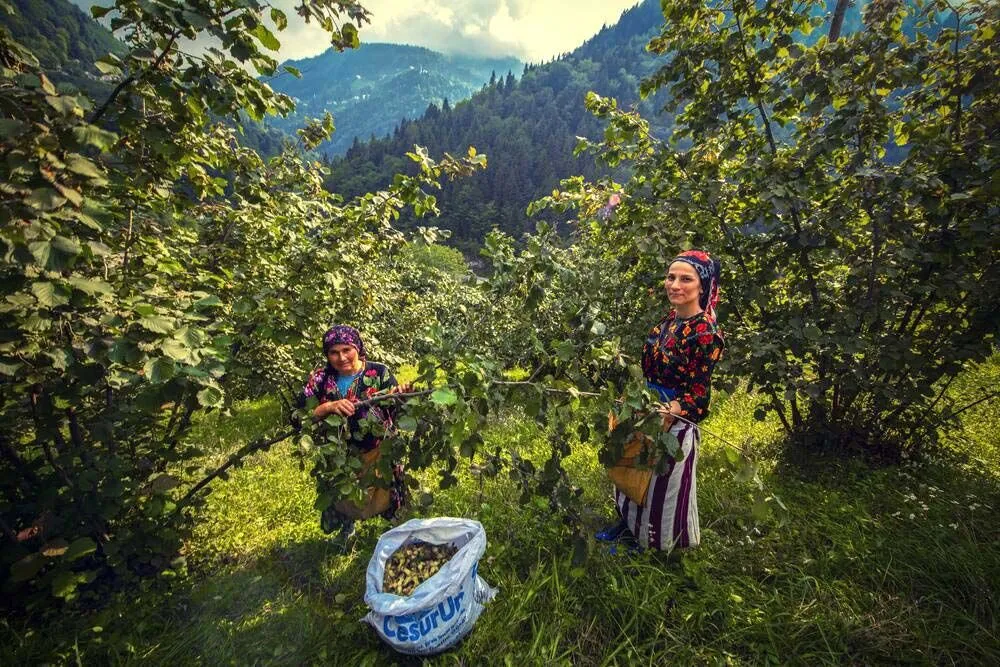 F I N D I K H A S A D I N D A G I Z L I T E H L I K E T O Z A L E R 875128 259941.Jpg